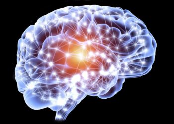 Ja zakonet që ju pengojnë të zhvilloni inteligjencën