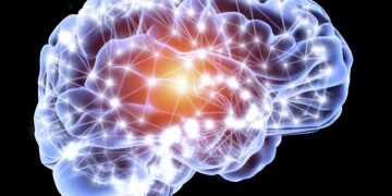 Ja zakonet që ju pengojnë të zhvilloni inteligjencën