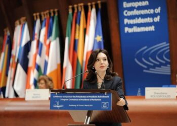 30-vjetori i anëtarësimit në Këshillin e Europës – Spiropali: Shqipëria jashtë monitorimit, KoE i paplotë pa Kosovën