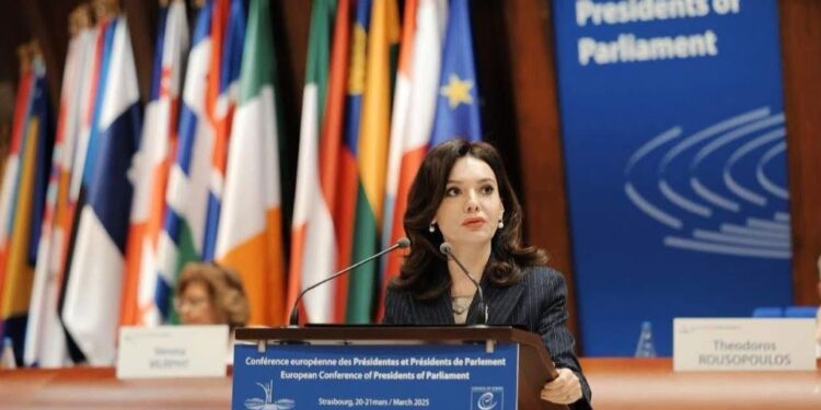 30-vjetori i anëtarësimit në Këshillin e Europës – Spiropali: Shqipëria jashtë monitorimit, KoE i paplotë pa Kosovën