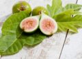 Gjethet e fikut – Mrekullia e gjelbër për shëndetin dhe kuzhinën tradicionale