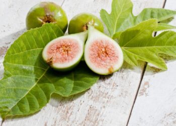 Gjethet e fikut – Mrekullia e gjelbër për shëndetin dhe kuzhinën tradicionale