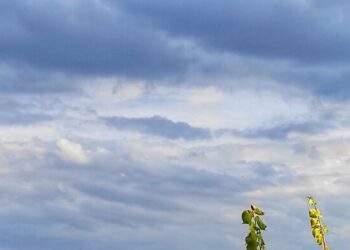 Moti për të Enjten në Kosovë dhe Rajon: Freski, Vranësira dhe Diell