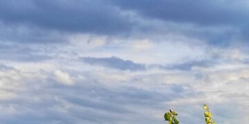 Moti për të Enjten në Kosovë dhe Rajon: Freski, Vranësira dhe Diell