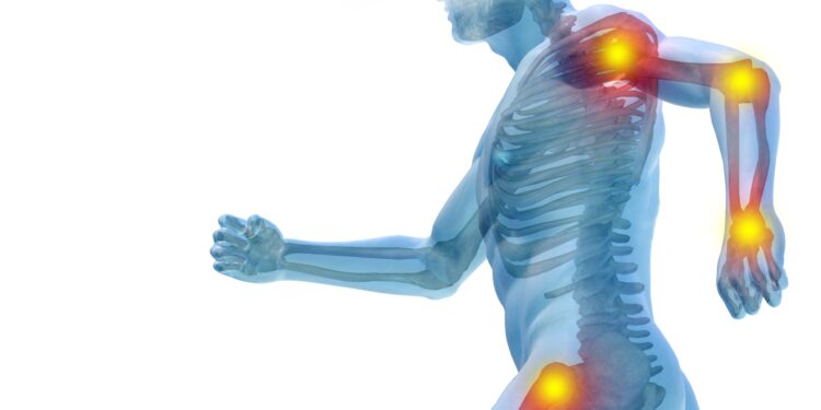 Shëndeti i kockave pas të 40-ave: Si të ushqehemi për forcë dhe qëndrueshmëri në dekadat që vijnë