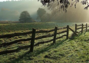 Bizneset dhe Inteligjenca Artificiale Lokale: Si të përmirësohet privatësia e të dhënave pa u mbështetur në cloud