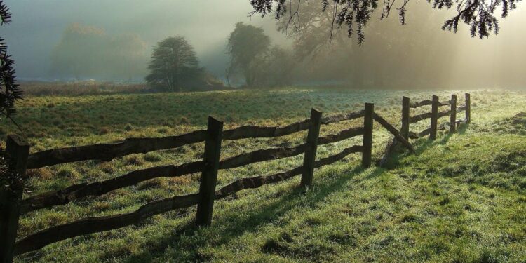 Bizneset dhe Inteligjenca Artificiale Lokale: Si të përmirësohet privatësia e të dhënave pa u mbështetur në cloud