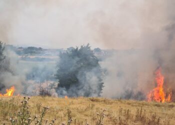 Situata me zjarret stabilizohet – Vetëm një vatër aktive në Trudë të Prishtinës
