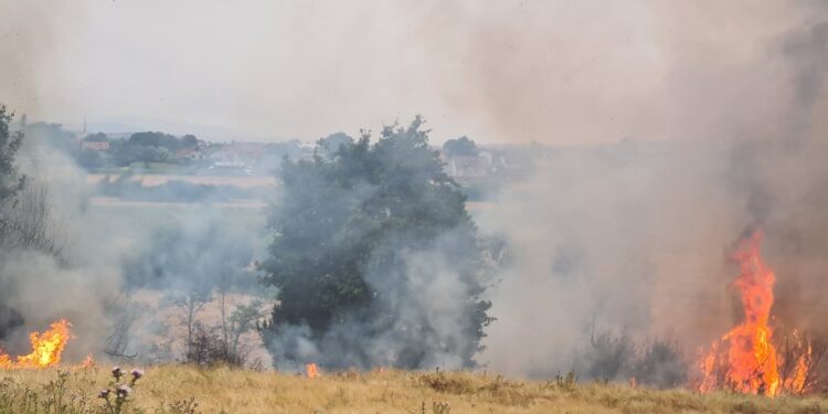 Situata me zjarret stabilizohet – Vetëm një vatër aktive në Trudë të Prishtinës
