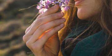 Shkencëtarët zbulojnë si shqisat bashkëveprojnë në tru për të përmirësuar vendimet