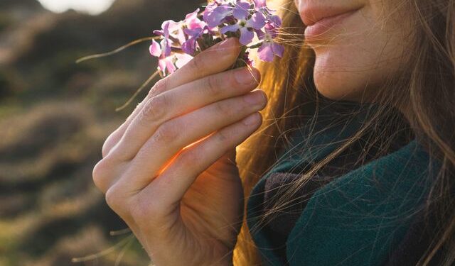 Shkencëtarët zbulojnë si shqisat bashkëveprojnë në tru për të përmirësuar vendimet