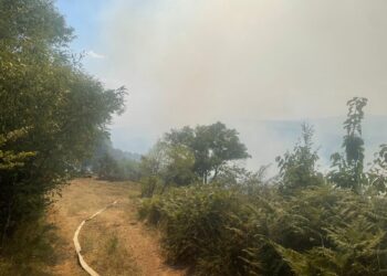 61 vatra zjarri në vend, 9 ende aktive – situata nën kontroll