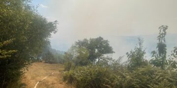 61 vatra zjarri në vend, 9 ende aktive – situata nën kontroll