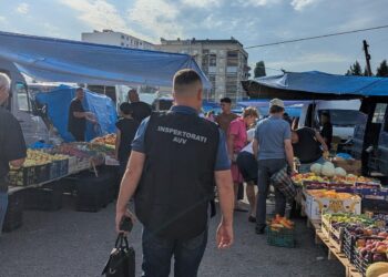 Ndalohen shitjet e produkteve të bylmetit dhe shpezëve në hapësira publike