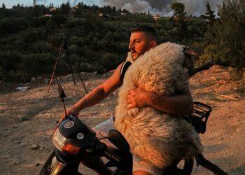 Kur dashuria për kafshët sfidon flakët, imazhet që po bëjnë xhiron e rrjetit