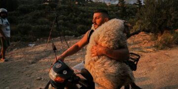 Kur dashuria për kafshët sfidon flakët, imazhet që po bëjnë xhiron e rrjetit