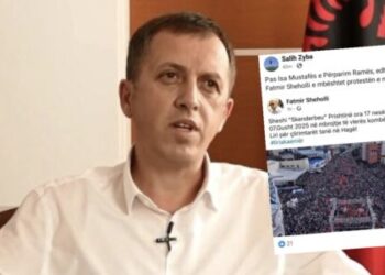 Zyba i Vetëvendosjes mundohet t’i ulë vlerën protestës kundër Speciales