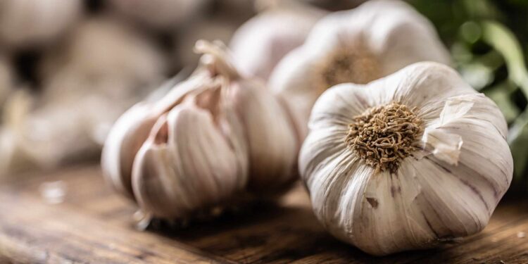 Pse duhet të hani më shumë hudhra gjatë verës?