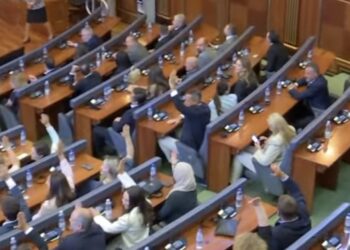 Dy deputetë të opozitës votojnë për kandidatin e VV-së, Dimal Bashën