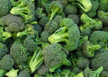 Konsumimi i brokolit lidhet me uljen e rrezikut nga kanceri i zorrës së trashë