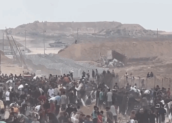 MSF: Shpërndarja e ndihmave në Gaza është “vrasje e orkestruar”