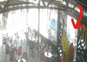 Publikohet momenti i vrasjes në Gjilan (VIDEO)