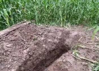 Zbardhen detaje të reja për vrasjen në Lipan, nuk e kreu vetëm një person