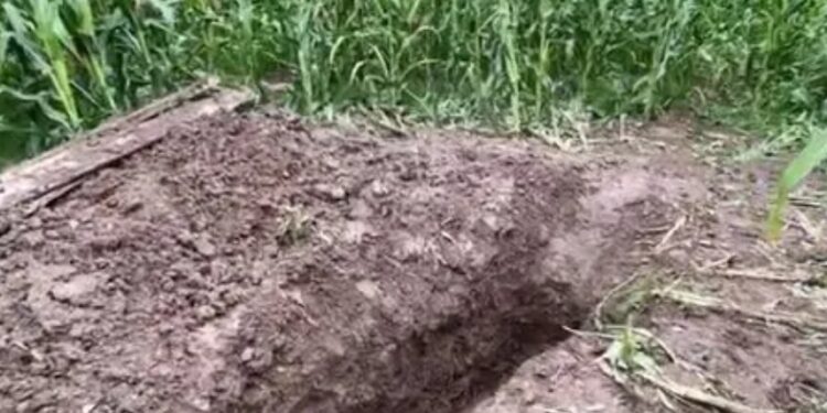 Zbardhen detaje të reja për vrasjen në Lipan, nuk e kreu vetëm një person