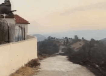 Zjarri në Lefterhor të Delvinës, digjen edhe kosheret – bletët ‘pushtojnë’ fshatin