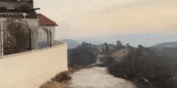 Zjarri në Lefterhor të Delvinës, digjen edhe kosheret – bletët ‘pushtojnë’ fshatin