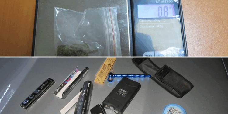 Dy persona arrestohen në Vushtrri për posedim të substancave narkotike dhe armëmbajtje pa leje