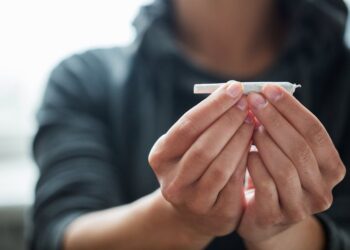 Del për konsultim projekti për legalizimin e kanabisit në Zvicër