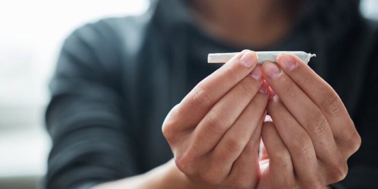 Del për konsultim projekti për legalizimin e kanabisit në Zvicër