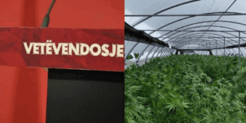 VV e konfirmon që kandidati për asamblist iu arrestua pasi u gjetën katër plantacioneve të kanabisit në Gjilan