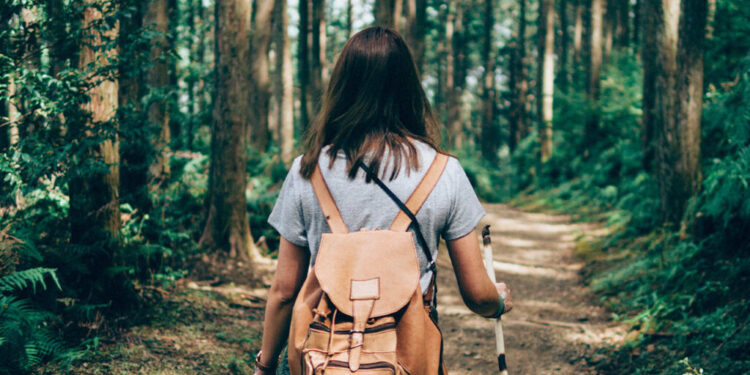 Shëndeti përtej barnave: Si natyra, arti dhe sporti përmirësojnë shëndetin e komuniteteve