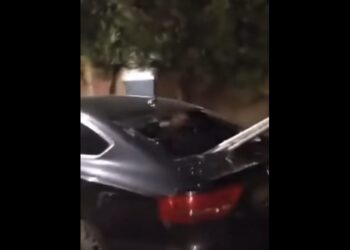 Novi Sad: U shkatërrohen veturat mbështetësve të Vuçiqit