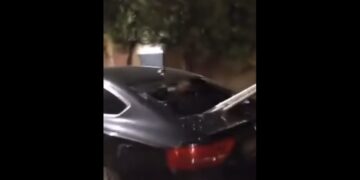 Novi Sad: U shkatërrohen veturat mbështetësve të Vuçiqit