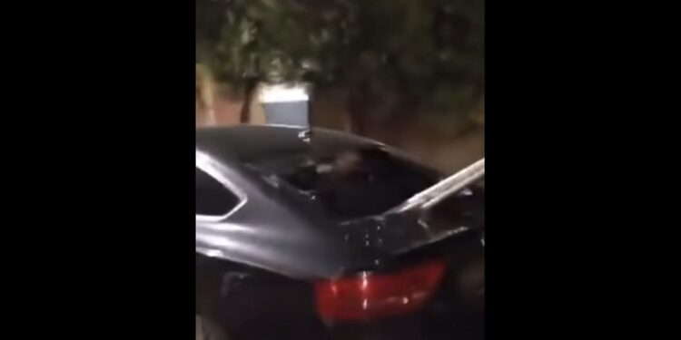 Novi Sad: U shkatërrohen veturat mbështetësve të Vuçiqit