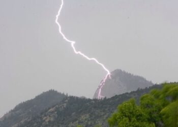 Rrufeja godet për vdekje bariun në Pogradec, ngordhin dhe 20 bagëti
