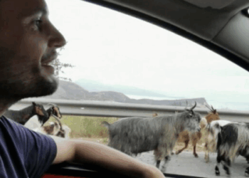 “Njerëz të varfër dhe makina luksi”, pabarazia e Shqipërisë në reportazhin e Die Welt