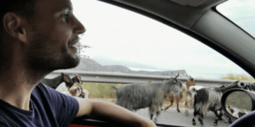 “Njerëz të varfër dhe makina luksi”, pabarazia e Shqipërisë në reportazhin e Die Welt