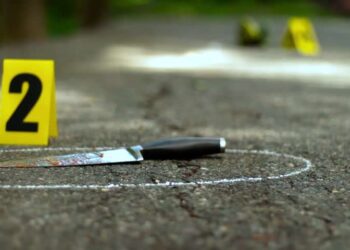 I nxitën qentë në përleshje, më pas u fjalosën: Prokuroria në Prizren jep detaje për vrasjen me thikë