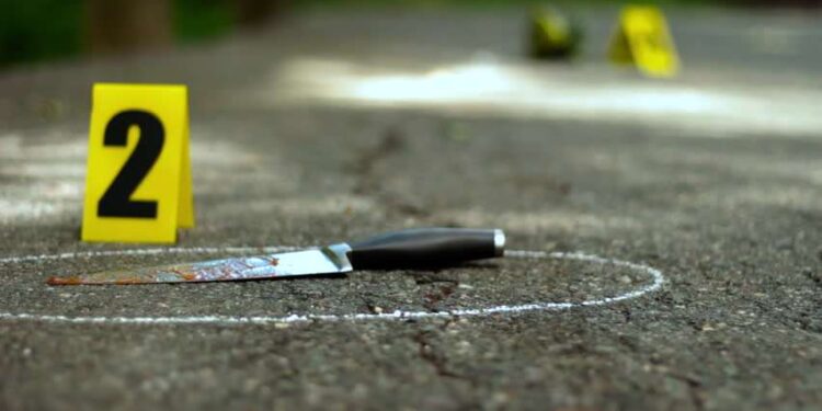 I nxitën qentë në përleshje, më pas u fjalosën: Prokuroria në Prizren jep detaje për vrasjen me thikë