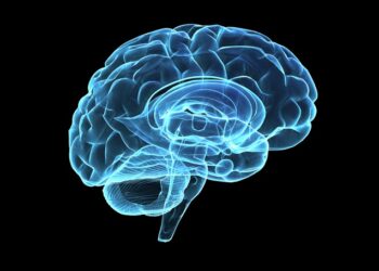 Studim: Chip i trurit deshifron mendimet me saktësi deri në 74%