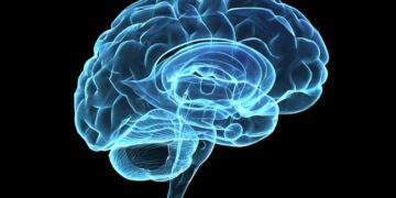 Studim: Chip i trurit deshifron mendimet me saktësi deri në 74%