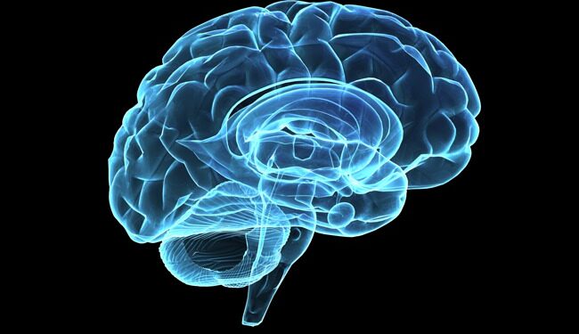 Studim: Chip i trurit deshifron mendimet me saktësi deri në 74%