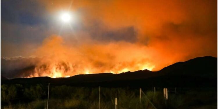 Tymi i zjarreve pyjore mund të jetë 93% më vdekjeprurës sesa mendohej deri tani