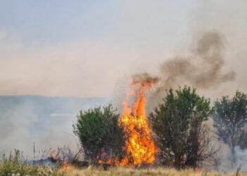 49 vatra zjarri gjatë ditës në Kosovë, shtatë ende aktive