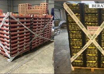 Kroacia bllokon 8 ton domate me pesticide nga Shqipëria, pronari i ‘Era-Fruit’ dhe dy inspektorë të AKU në pranga!