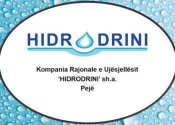 Thahet Peja: VV rehatoi mbi 30 aktivistë e zyrtarë në Ujësjellësin e Pejës
